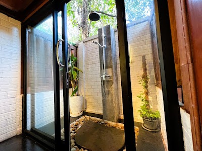 Moon & Shama - Vegan Homestay