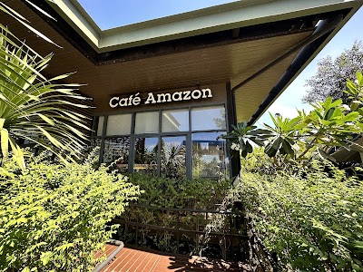 Amazon Cafe Kampong Chhnang