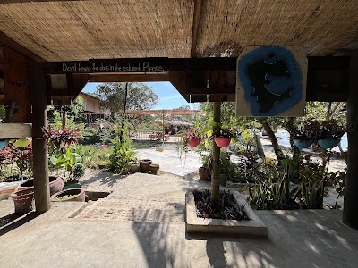 Dolphin Bay Resort