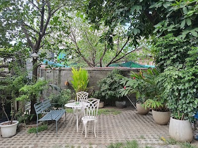 KOL House